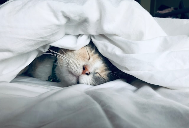10-Sleep Hacks for a Better Morning